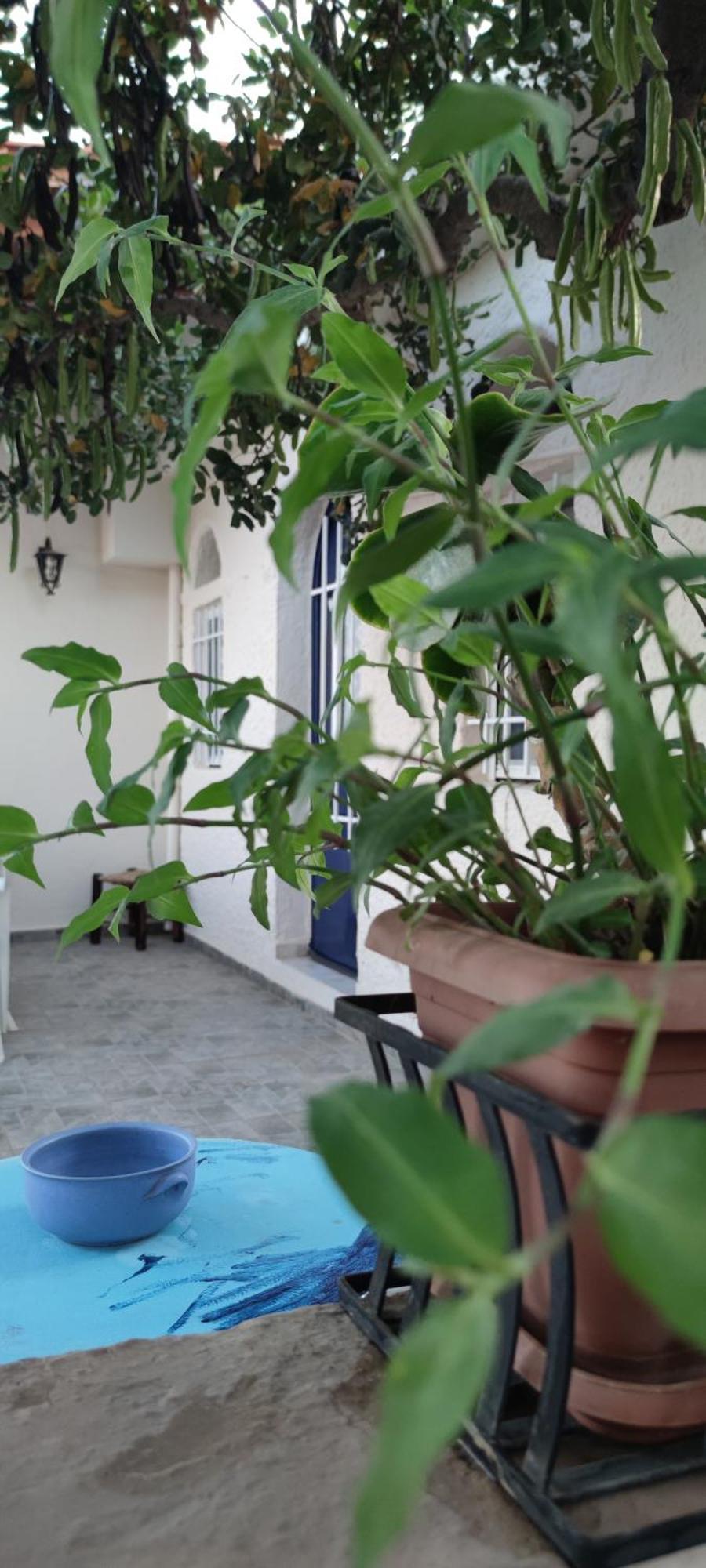 Appart hôtel Eliza Agios Nikolaos