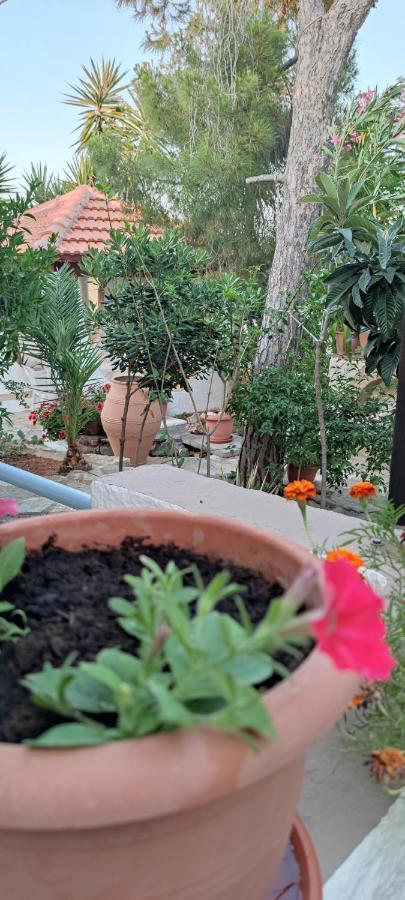 Hotel Eliza Aparthotel Agios Nikolaos (Crete)